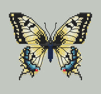 Shannon Christine:  Yellow Swallowtail Butterfly